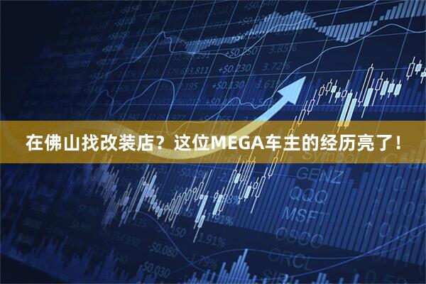 在佛山找改装店？这位MEGA车主的经历亮了！