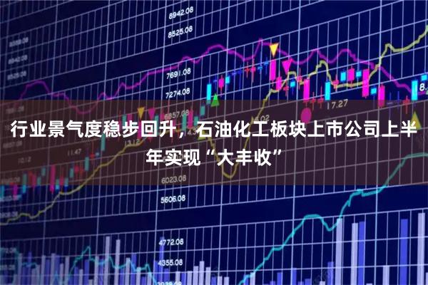 行业景气度稳步回升，石油化工板块上市公司上半年实现“大丰收”