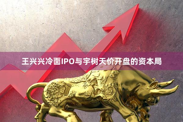 王兴兴冷面IPO与宇树天价开盘的资本局