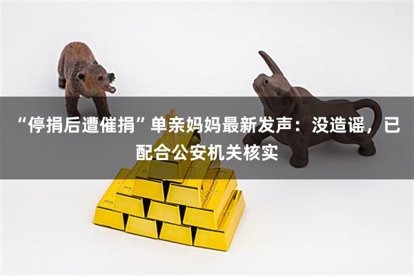 “停捐后遭催捐”单亲妈妈最新发声：没造谣，已配合公安机关核实