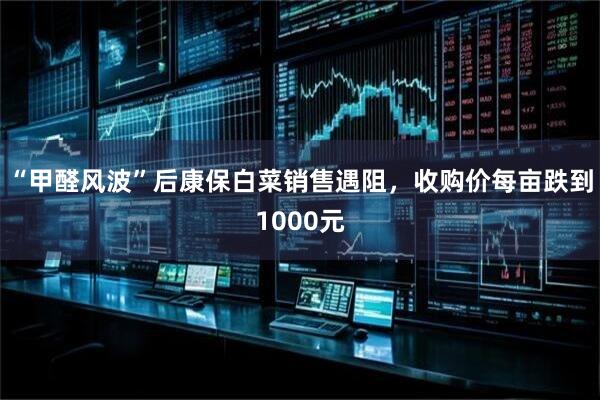 “甲醛风波”后康保白菜销售遇阻，收购价每亩跌到1000元